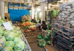 Закладка овощей на хранение ООО "Заготовительно-производственный комплекс крайпотребсоюза"
